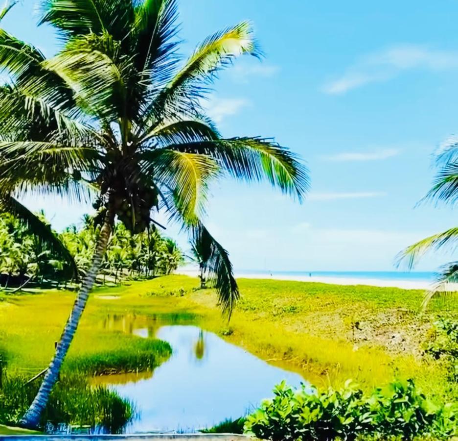 Paradise In Brazil - De Guaratiba Prado-ba *
